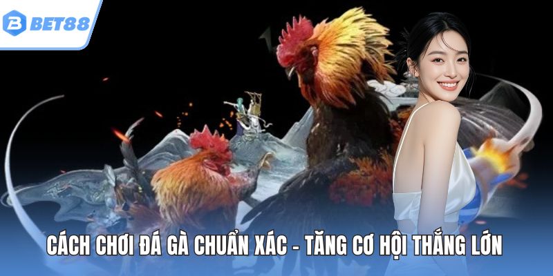 Cách chơi đá gà
