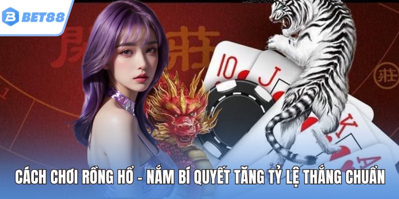 Cách chơi rồng hổ