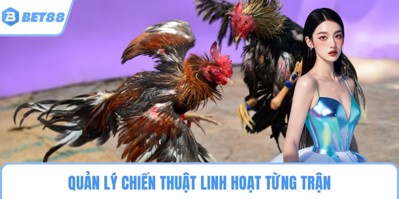 Quản lý chiến thuật linh hoạt từng trận