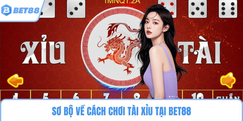 Sơ bộ về cách chơi tài xỉu tại BET88