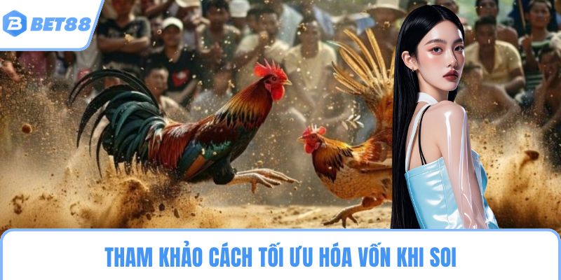 Tham khảo cách tối ưu hóa vốn khi soi